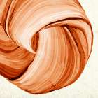 Orange Tango II Art Print by PI Studio