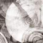 Timeless Rings I Art Print by PI Studio