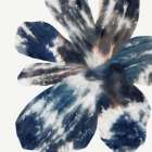 Shades of Indigo Bloom Art Print