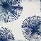 Gold Star II - Indigo Art Print by PI Studio