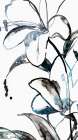 Wild Lily I Art Print by PI Studio