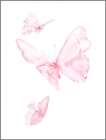 Pink Butterflys III Art Print