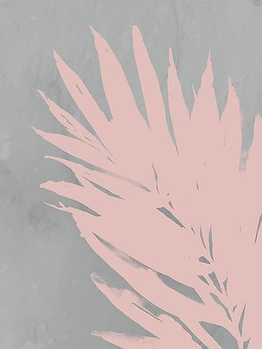 Pink Fan Art Print by PI Juvenile