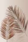 Breeze Pams Minimalist Print