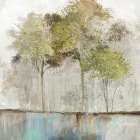 Olive Trees Landscape Print