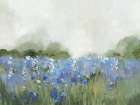 Meadow Bluebells Field Landscape Print