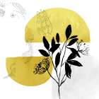 Citrus Paradise III Art Print by PI Studio