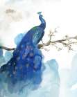 Blue Peacock Art Print by PI Studio