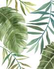Tropical Mix II Art Print by PI Studio