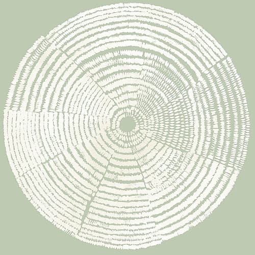 Circles of Life I Art Print