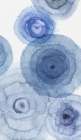 Rings of Blue I Art Print