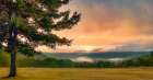 Hill Meadow Art Print