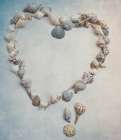 Sea Shell Heart Art Print