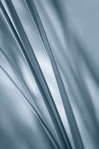 Slanting Photography Print