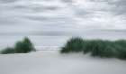 View Through the Dune Grasses Art Print