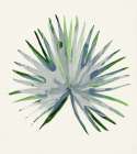 Green Papyrus I Art Print