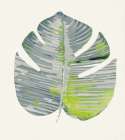 Green Papyrus III Art Print