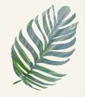 Green Papyrus IV Art Print by Stellar Design Studio
