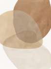 Soft Overlay II Art Print