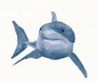 Underwater Shark Art Print