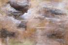 Earthy Whispers in Brushstrokes IIII Art Print
