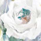 Witness the Beauty Art Print