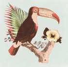 Tropical Toucan Art Print by Surma