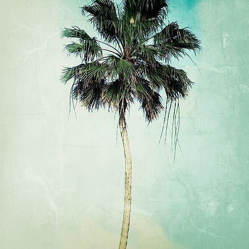 Beverly Hills II Tropical Print