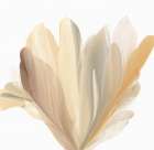 Blooming Wisdom Art Print by Vicki McFarland