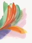 Blushing Feather II Art Print by Vicki McFarland