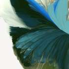 Blue Wings Unfolding in Light Art Print by Vicki McFarland