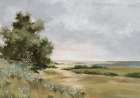 Serene Path Through Open Fields Art Print