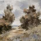 Pathway to a Tranquil Shore Art Print