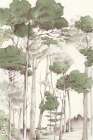 Whispering Pines in Soft Light Art Print