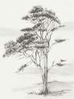Solitary Tree in Gentle Breeze I Art Print