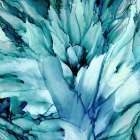 Tierra Verde I Art Print