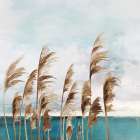 Summer Wind I Art Print