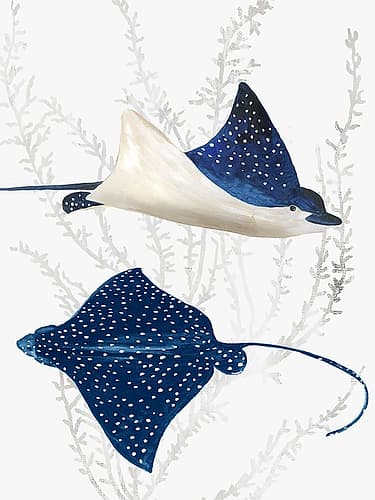 Blue Stingray II Art Print
