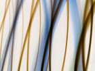Silk Waves IV Art Print
