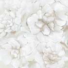 Elegant Blooms I Art Print