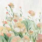 Peach Petals II Art Print