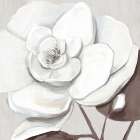 Elegant Bloom I Art Print