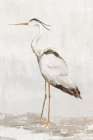 Serene Heron I Art Print