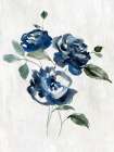 Indigo Roses in Gentle Bloom Art Print