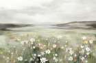 Soft Meadow Under Cloudy Sky Art Print