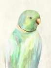 Parrot in Gentle Pastel Hues Art Print
