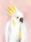 Cockatoo Against Soft Pastels Art Print