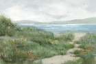 Seaside Meadow Under Cloudy Skies Art Print