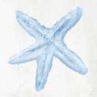 Light Blue Seashell I Art Print