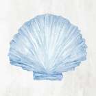Light Blue Seashell III Art Print